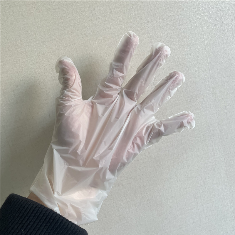 compostable gloves06.jpg